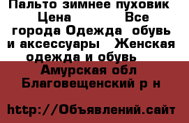 Пальто зимнее пуховик › Цена ­ 2 500 - Все города Одежда, обувь и аксессуары » Женская одежда и обувь   . Амурская обл.,Благовещенский р-н